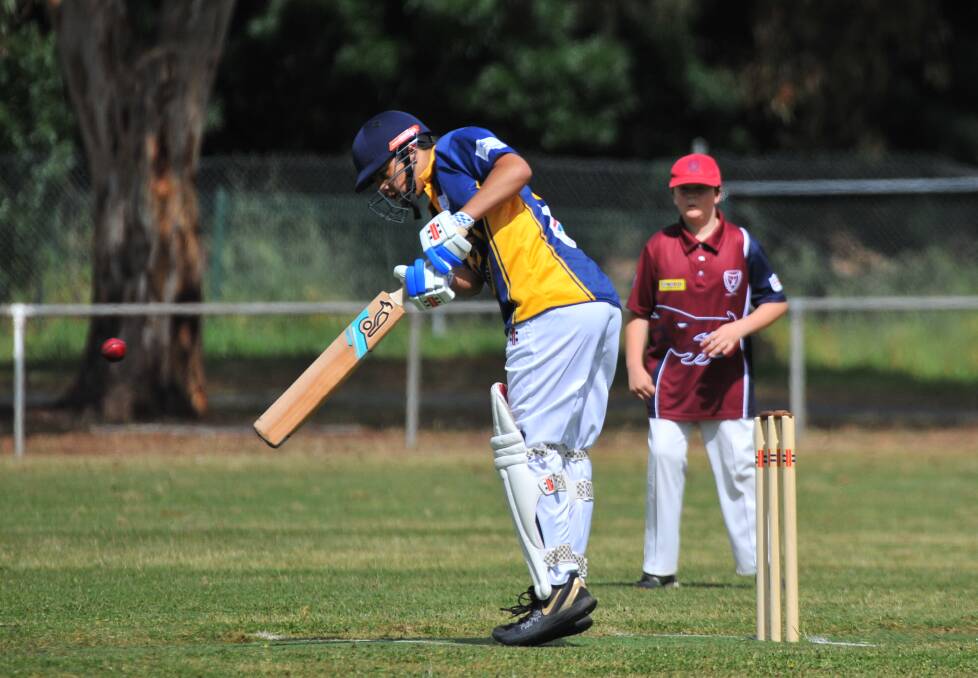 JUST SHORT: Bendigo's Mana Clark on his way to 99 not out against Sandhurst. Picture: ADAM BOURKE