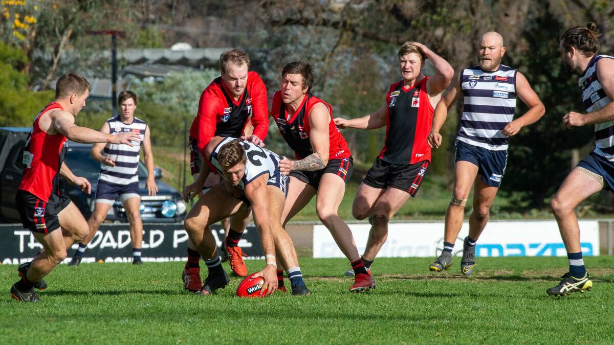 HDFNL: Cats get the cream against depleted Demons | Photos
