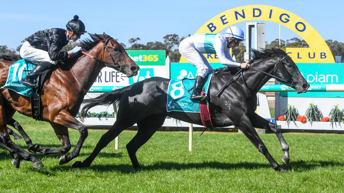 STRIKING FILLY: Gunmetal Girl, with Michael Poy in the saddle, wins impressively at Bendigo on Tuesday. Picture: RACING PHOTOS