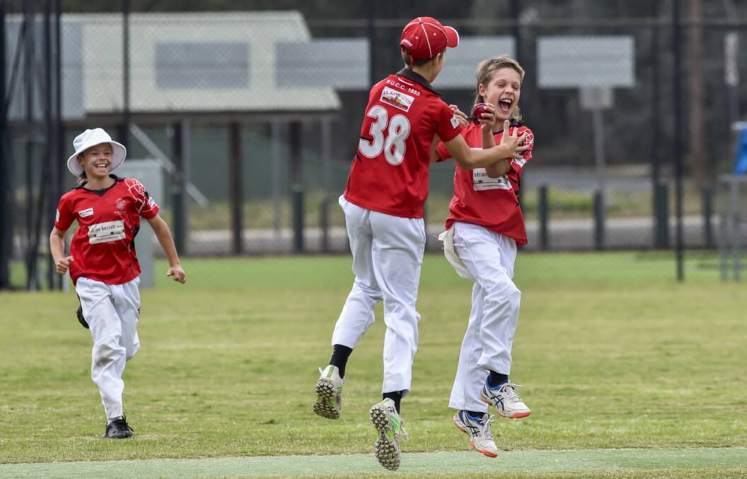 UP AND ABOUT: Fletcher Stevenson celebrates a wicket with team-mates. 