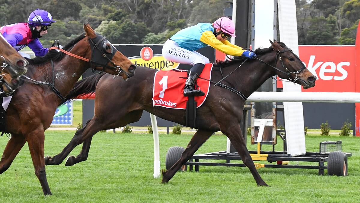 Super Girl winning at Sandown earlier this campaign. Picture: RACING PHOTOS