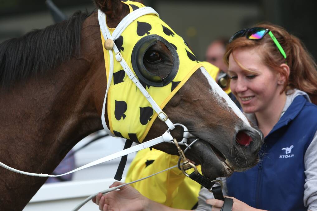 Nothing But A Saga gets a pat after her impressive win. Picture: GLENN DANIELS