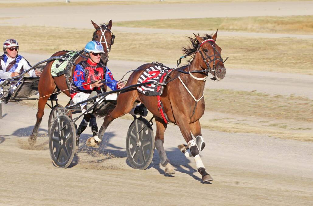 Waikare Astronomer was impressive in winning race two on Bendigo Pacing Cup night. Picture: STUART McCORMICK