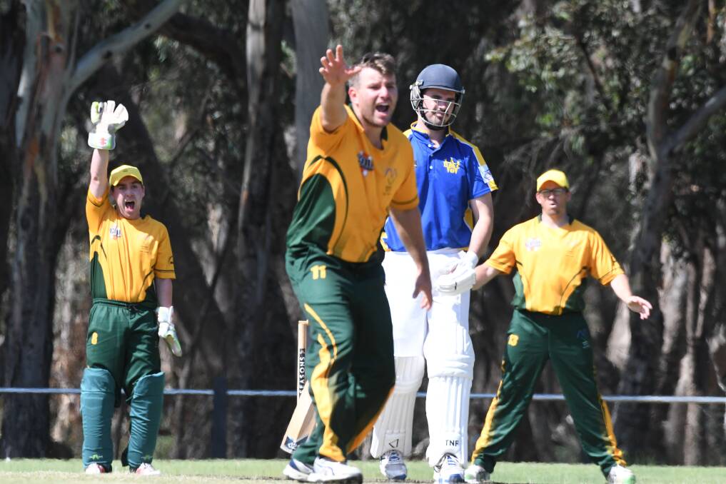 Murray Valley's Andrew Hogan appeals for the wicket of Wangaratta batsman John Matchett. Picture: NONI HYETT 