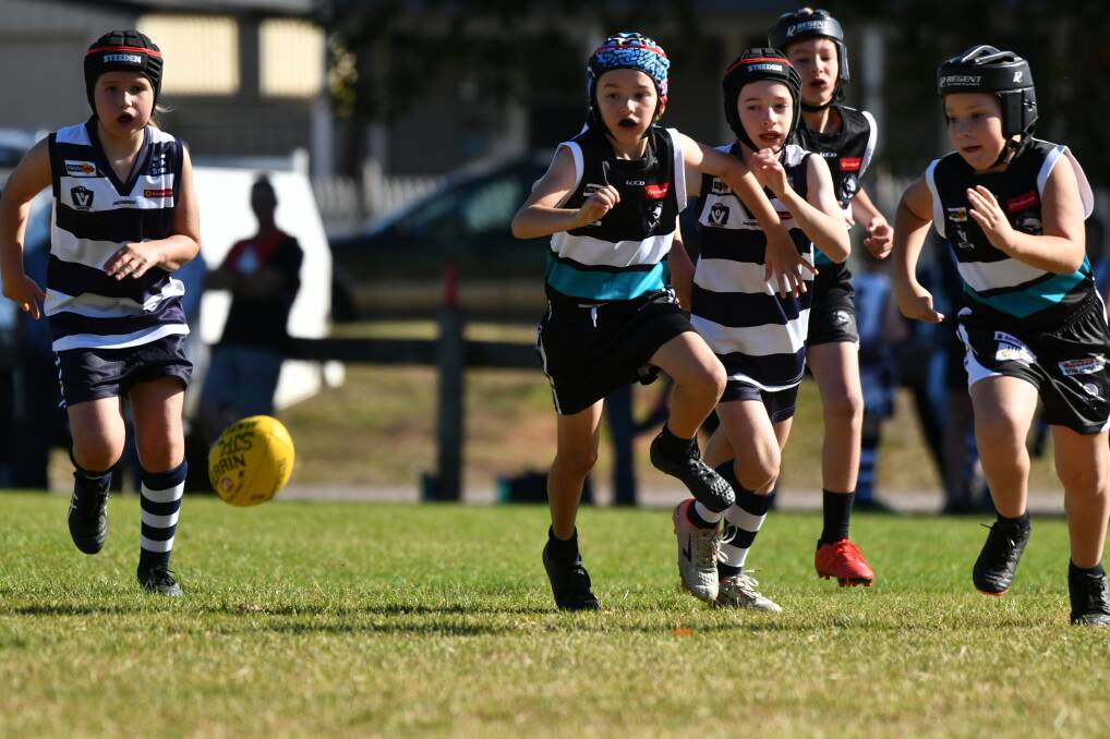 Strathfieldsaye and Maryborough under-10 players chase the ball in their game at Allingham Street. Picture: DARREN JAMES