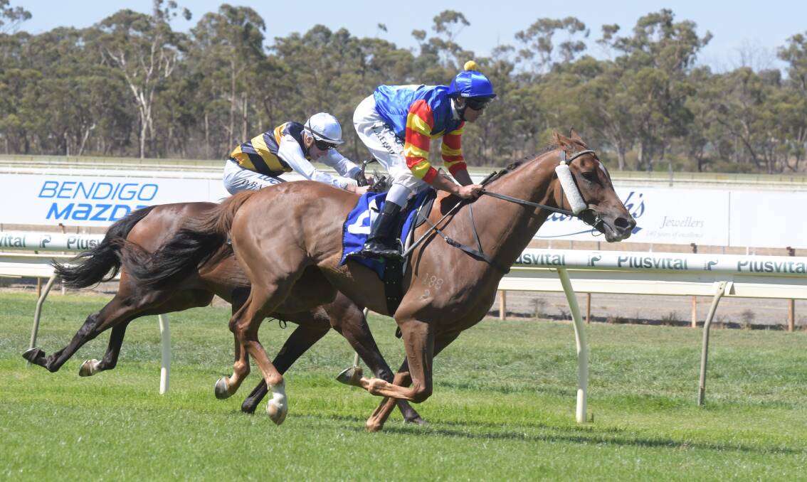 TOO STRONG: Anemoi outstays Wee Gilly to win the Bendigo Ford Marong Cup on Saturday. Pictures: NONI HYETT
