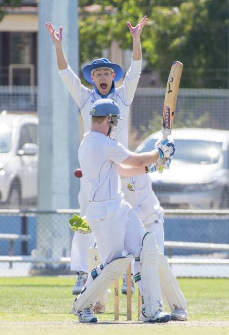 CLOSE CALL: Golden Square's Grant Connelly appeals for lbw against Strathdale's Daniel Clohesy. Picture: DARREN HOWE