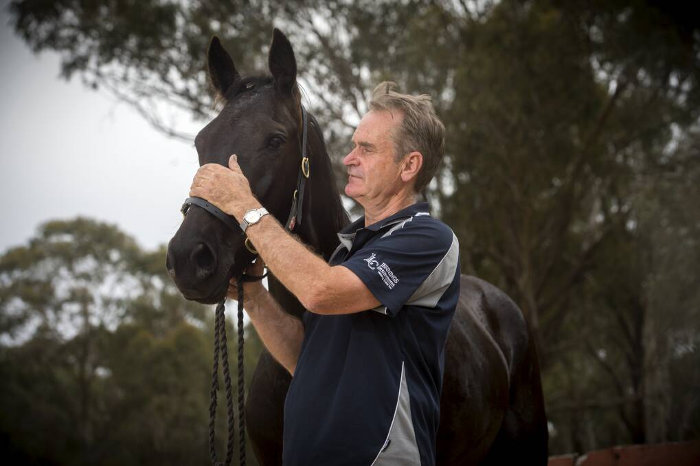 UP AND ABOUT: Gary Donaldson with comebck pacer Live Like A Royal. Picture: DARREN HOWE