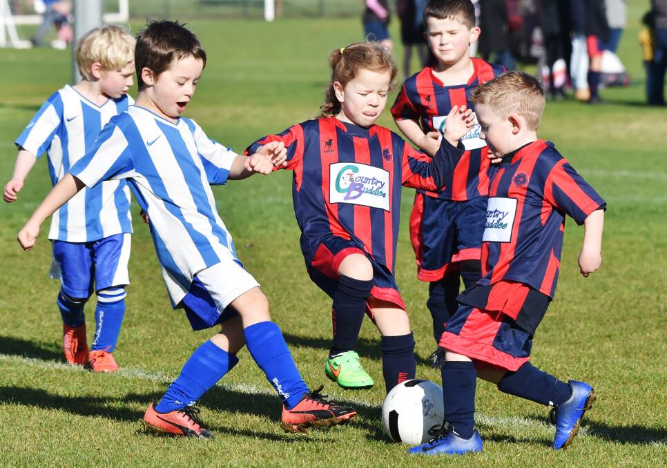 Junior soccer is one of the biggest participation sports in central Victoria.