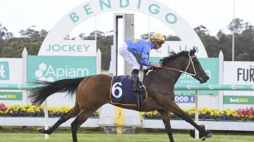 Gracie's Rain put paid to her rivals in fine style at Bendigo. Picture by Racing Photos
