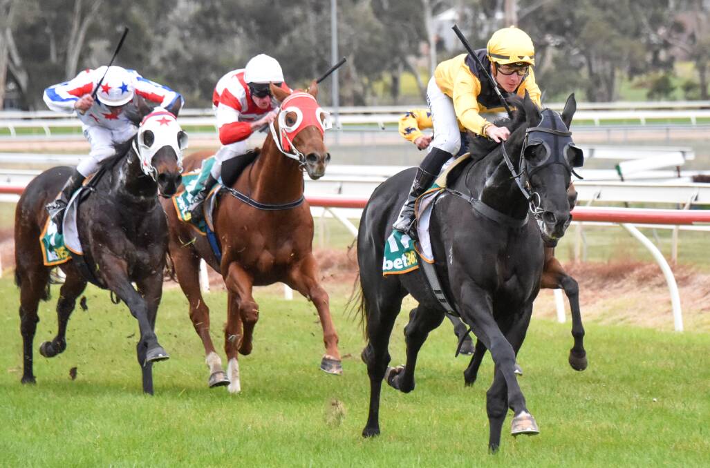 BACK ON TOP: Crash Cranach cruises to the line to win his first race in 11 months. Picture: RACING PHOTOS