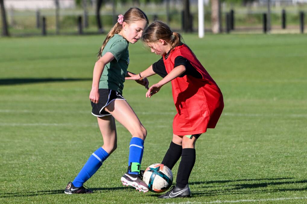 Junior players from all 11 Bendigo Amateur Soccer League clubs tried out for the league's junior squads. Pictures by Darren Howe