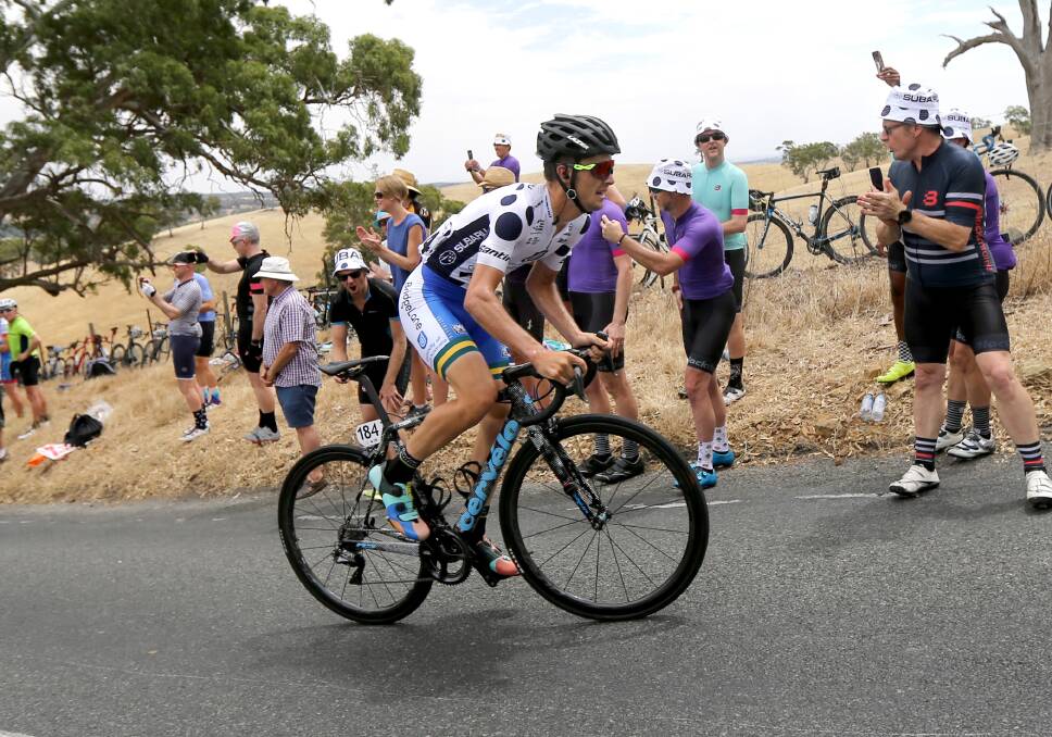 POWER: Jason Lea surges up Checkers Hill in Wednesday's second stage of the Tour Down Under.