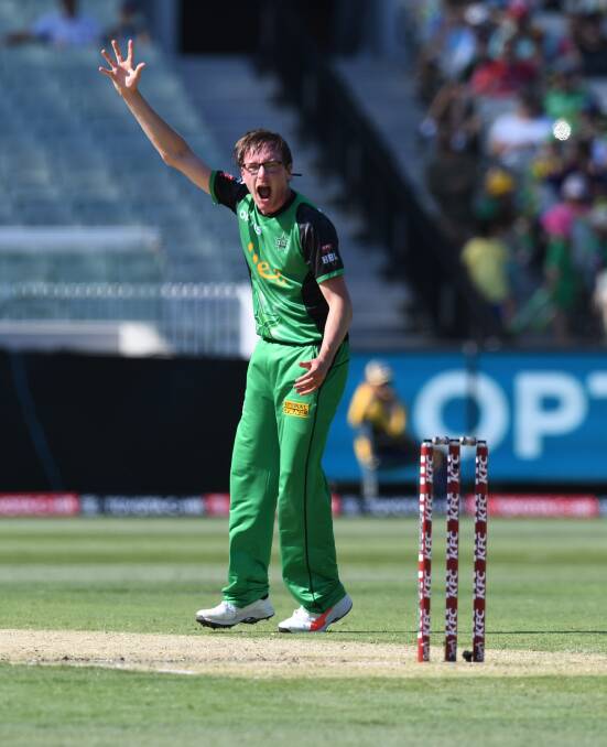 THE WIZARD: Melbourne Stars leg-spinner Liam Bowe will play for Sandhurst in the BDCA Twenty20 competition.