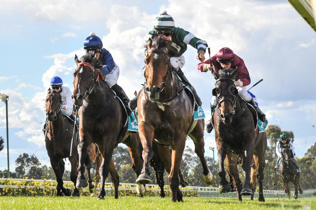 Highclass Harry proved too strong for his rivals. Picture: RACING PHOTOS