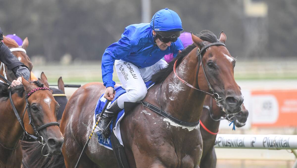 Brad Rawiller had a successful day at Bendigo on Saturday, including a fine win on Coruscate in race three for James Cummings. Picture: RACING PHOTOS