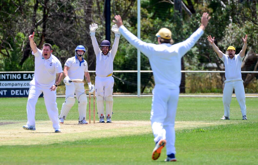 HAND UP IF YOU LOVE COLLINGWOOD?: Strathfieldsaye players appeal unsuccessfully for the wicket of Scott Johnson. Pictures: BRENDAN McCARTHY