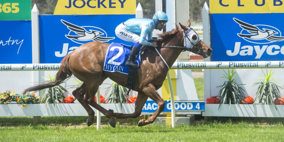 CLASS ACT: As It Lies couldn't have been more impressive in winning by five lengths on Bendigo Cup day. Picture: DARREN HOWE