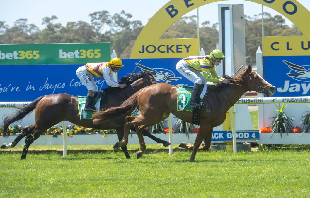 No Emotion sprinted hard from the back of the field to win race three on Cup day. Picture: DARREN HOWE