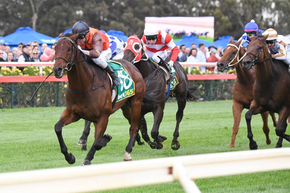 TOP WIN: Colsridge powers home to win over 1100m at Bendigo on Saturday. Picture: RACING PHOTOS