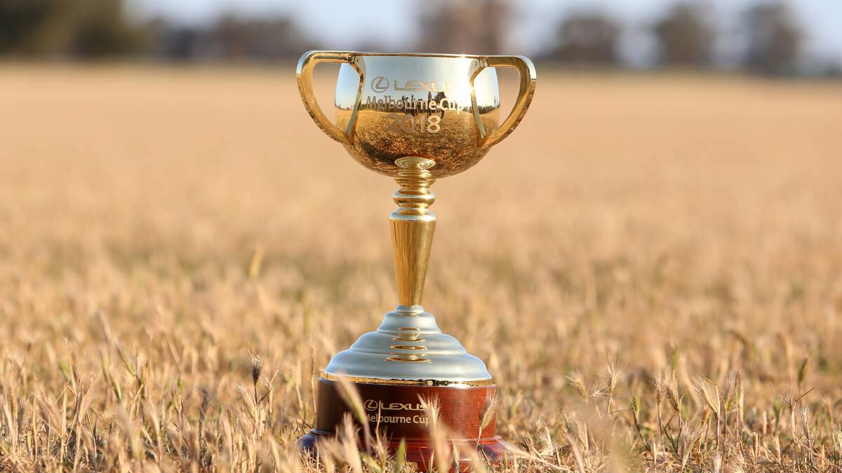 ICONIC: The Melbourne Cup trophy.