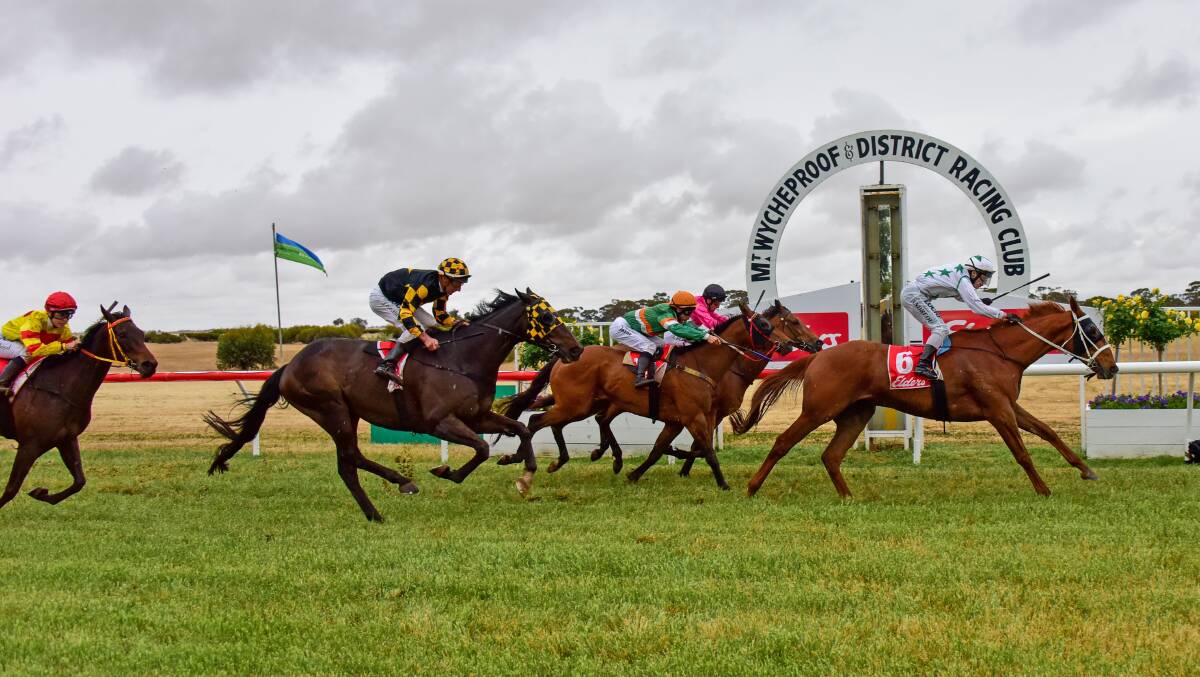 Bendigo galloper Only A Mother winning last year's Wycheproof Cup. Picture: RACING PHOTOS