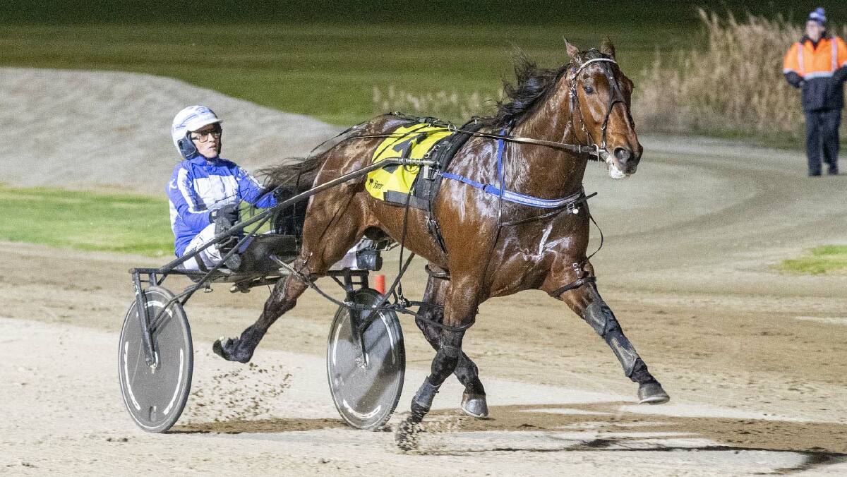 Brilliant pacer Ride High winning at Melton last month. Picture: STUART McCORMICK