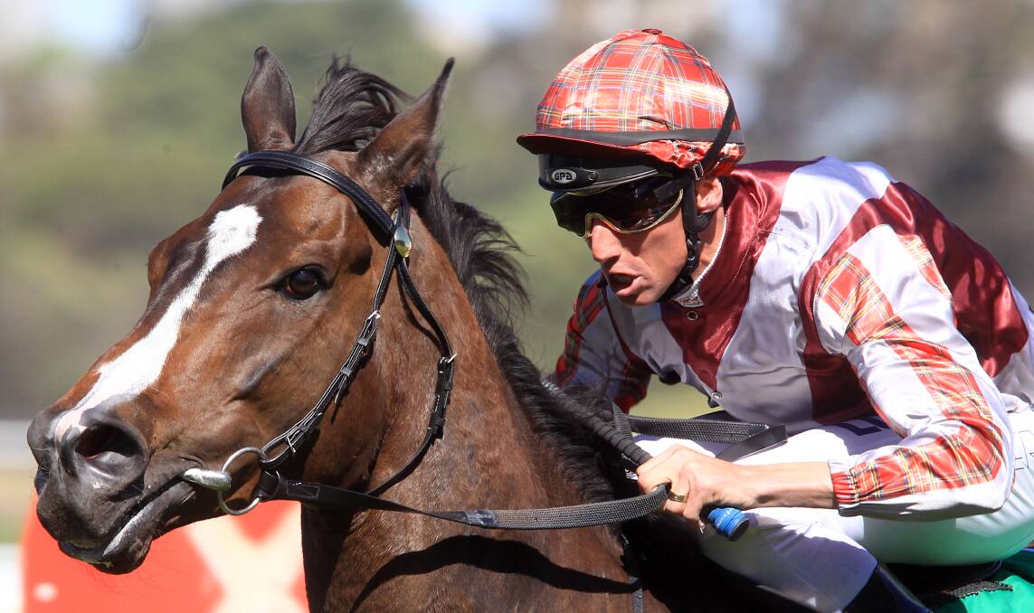 Nash Rawiller will be back on home soil to ride in the Bendigo Cup on Wednesday.