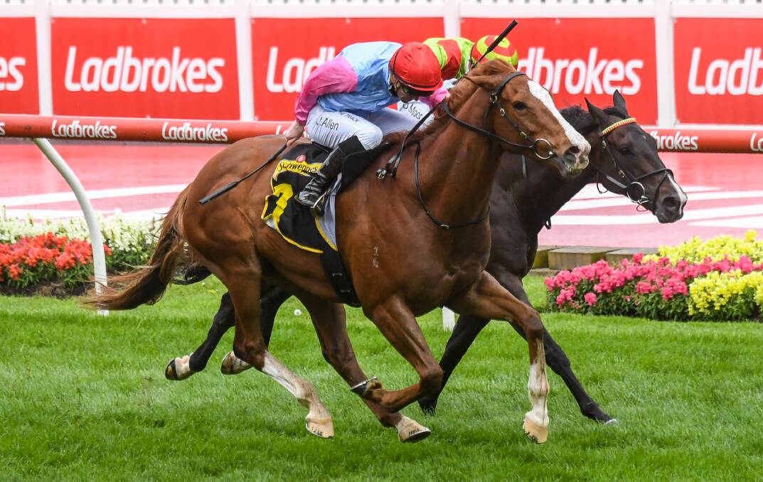 BIG CHANCE: Bendigo galloper Just Folk has the opportunity for Group One glory in Saturday's Doncaster Handicap in Sydney. Picture: RACING PHOTOS 