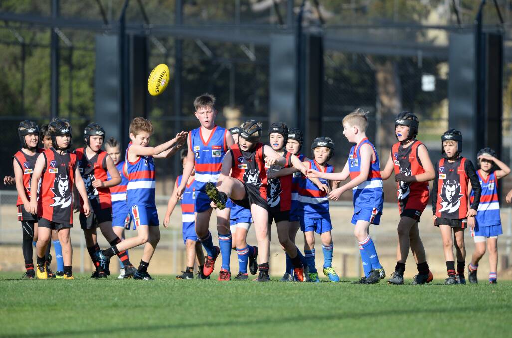 BEES TO THE HONEY POT: 17 players converge around the footy in the under-12D clash between North Bendigo and White Hills. Picture: GLENN DANIELS 