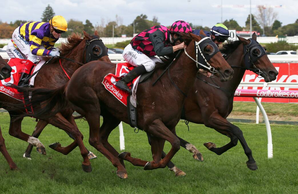 STRONG FINISH: All About Nicci and jockey James Winks win the Darren Gauci Handicap at Caulfield on Saturday.