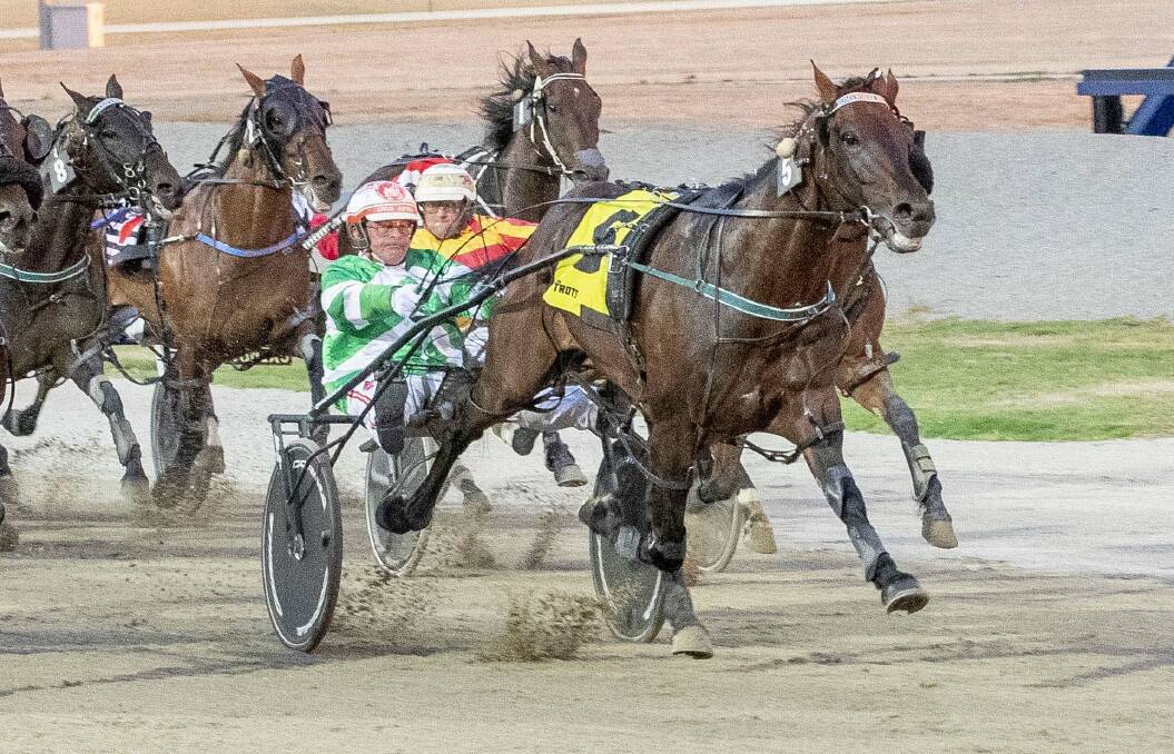 FAVOURITE: Somewhere Secret is one of the horses to beat in Saturday night's Bendigo Pacing Cup. Picture: STUART McCORMICK