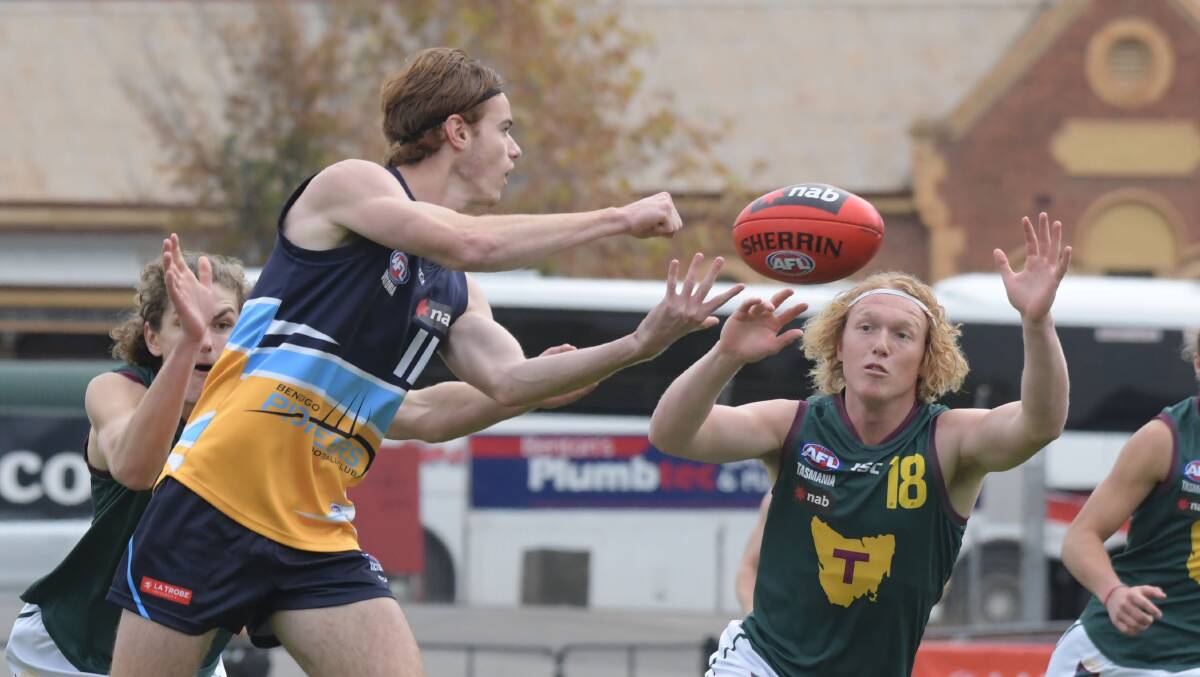 Ruckman Aaron Gundry is in good form for the Pioneers.
