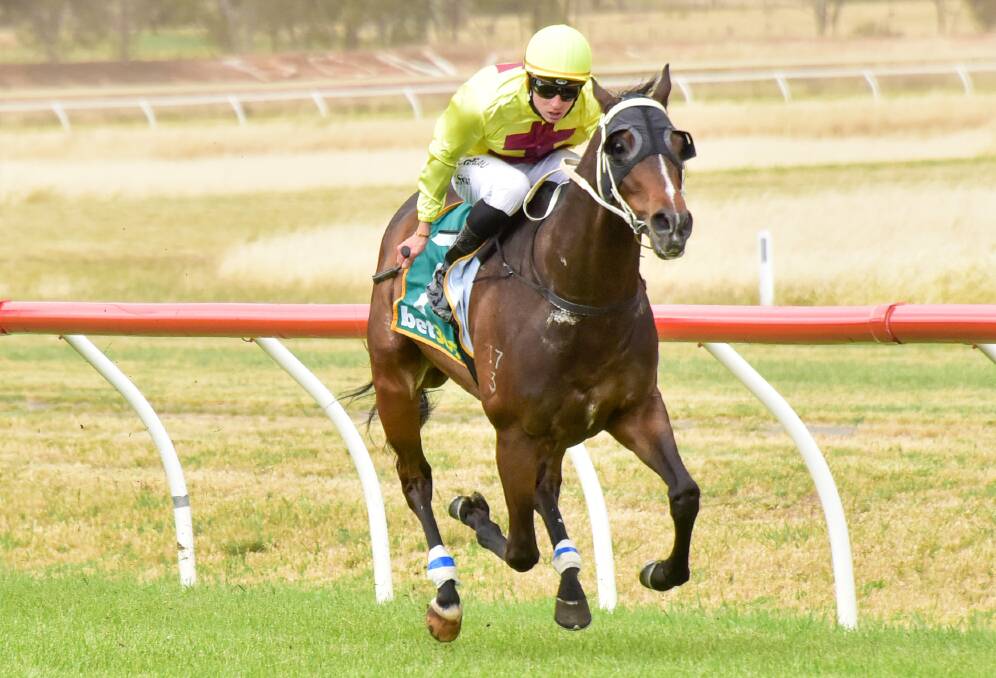 GUTSY GALLOPER: Vungers on his way to a big win in the 2020 Donald Cup. Picture: RACING PHOTOS