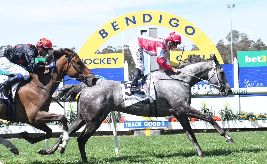 STRONG STAYER: Blue Jangles outlasts Rubme to win the Marong Cup at the Bendigo Jockey Club on Saturday. Picture: NONI HYETT