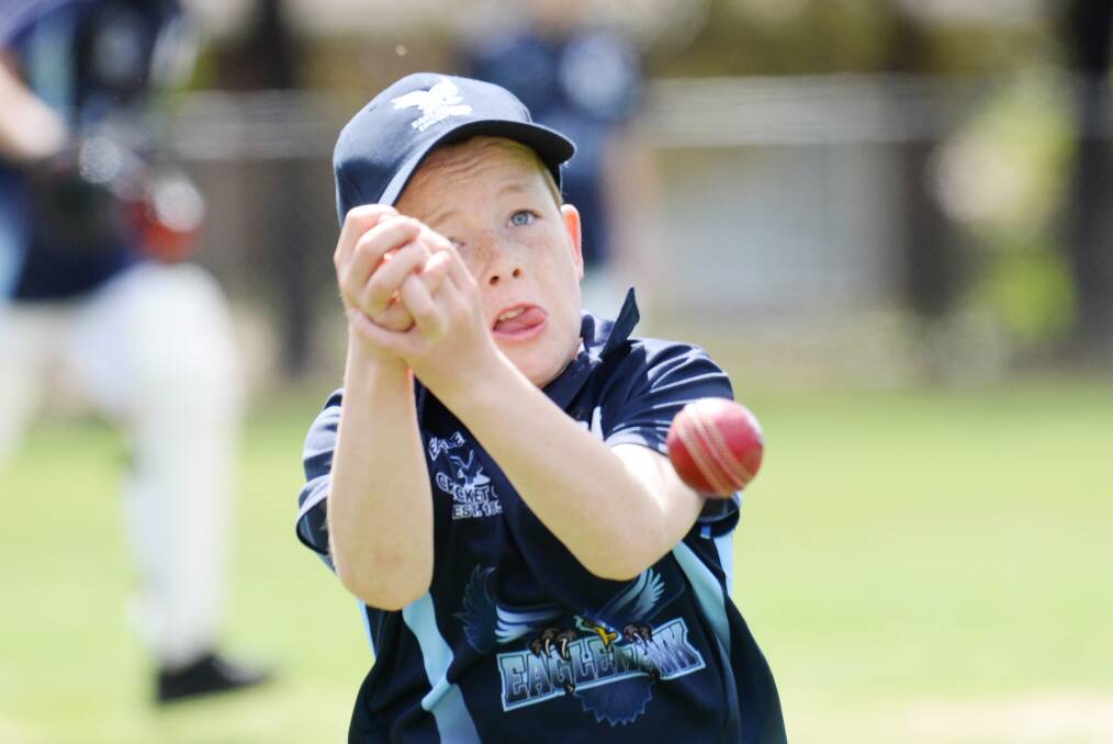PROMISING: Eaglehawk's Harvey White has made 115 runs without being dismissed in four under-12A games this summer.