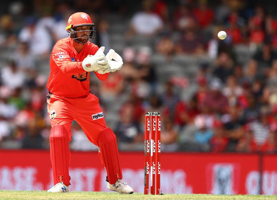 Brayden Stepien was behind the stumps for the Melbourne Renegades in two BBL games last summer. Picture: GETTY IMAGES