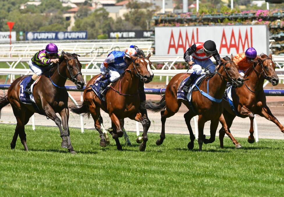 CLOSE FINISH: Hay Now, far left, surges late to run down her rivals at Flemington on Tuesday. Picture: AAP