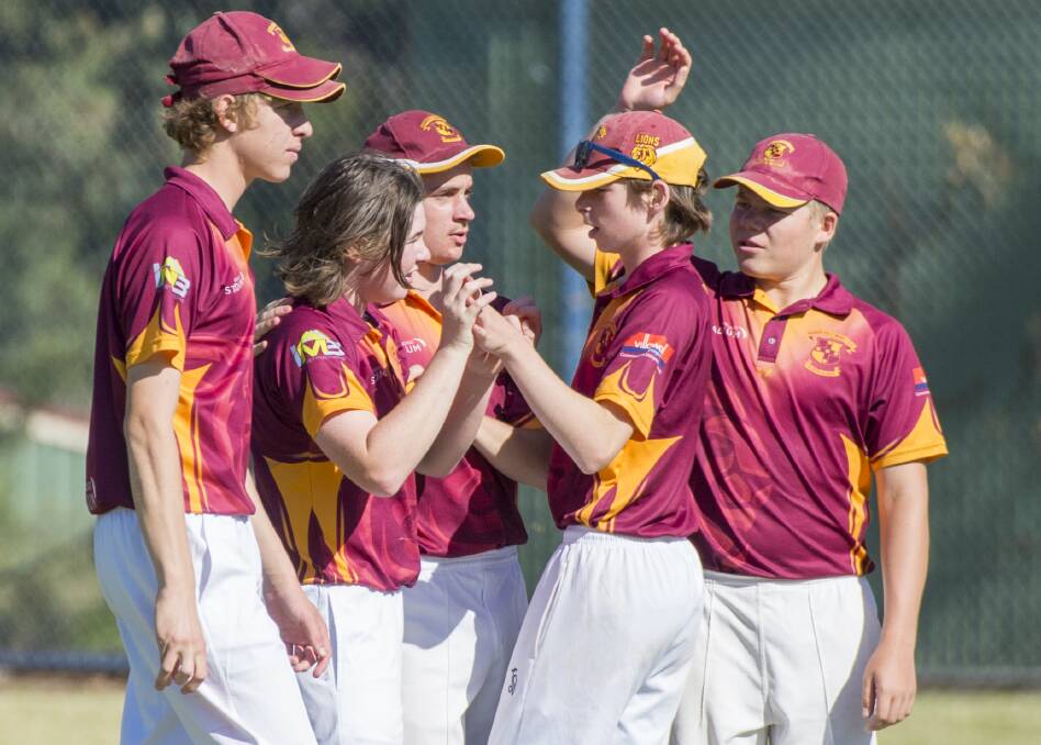HIGH FIVE: Maiden Gully players celebrate a wicket.