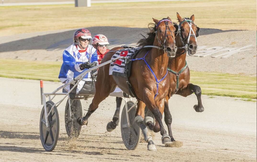 GROUP ONE GLORY: Tayla French urges Parisian Artiste to the finish line to win at Melton on Friday night. Picture: STUART McCORMICK