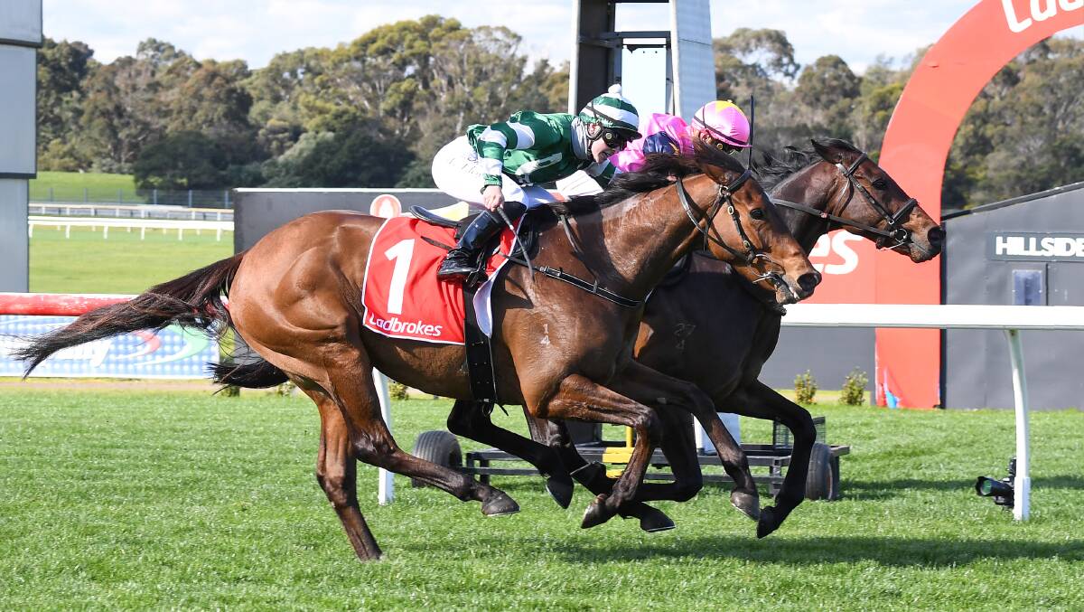 Highclass Harry finishes second to the Danny O'Brien-trained Sukoot. Picture: RACING PHOTOS
