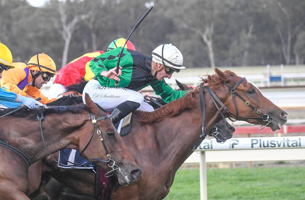 Riddle Me That wins the Bendigo Guineas under the guidance of jockey Daniel Stackhouse. Picture: RACING PHOTOS