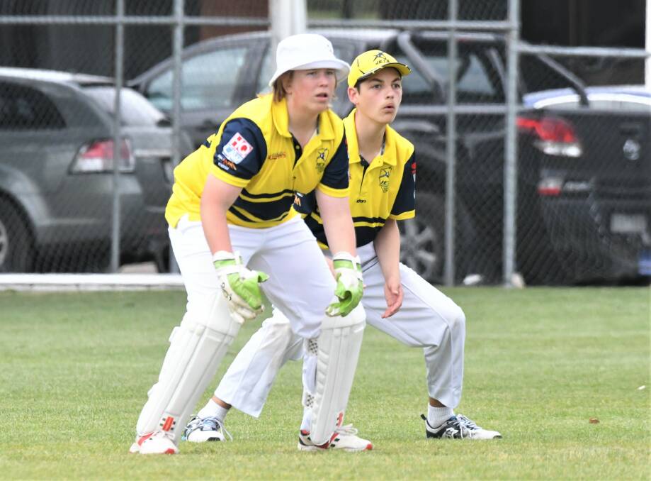 REAY TO POUNCE: The Jets wait for an edge behind the wicket.