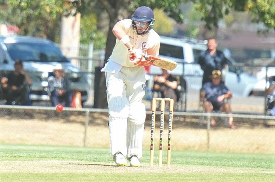 SKIPPER: Todd Murphy made a half-century for Victoria Country.