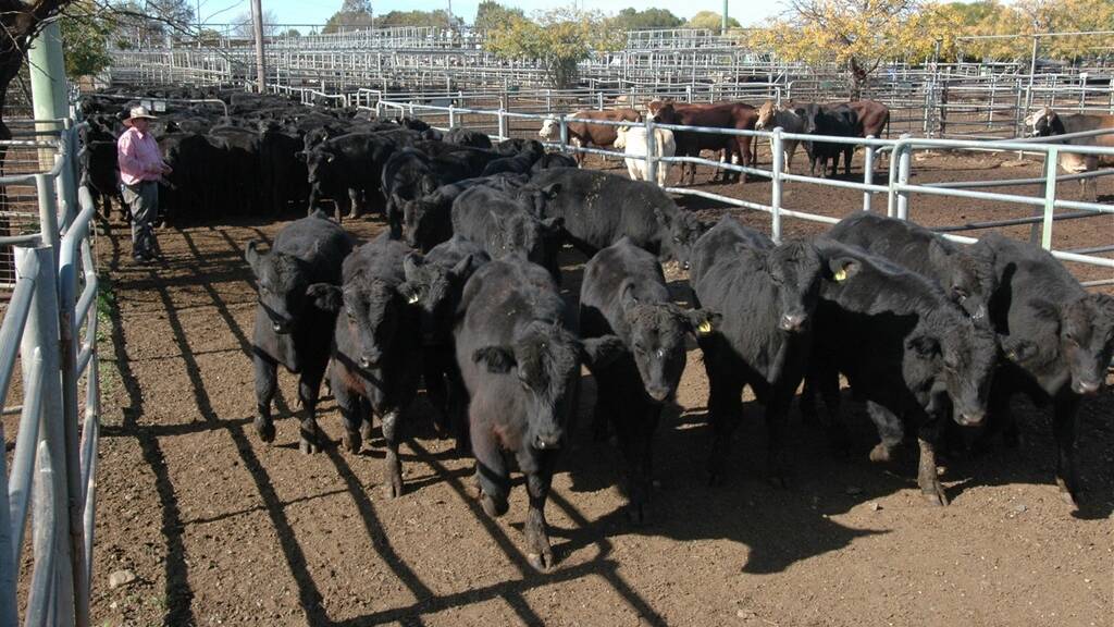 Agriculture Victoria is looking for input on a new Biosecurity Strategy.