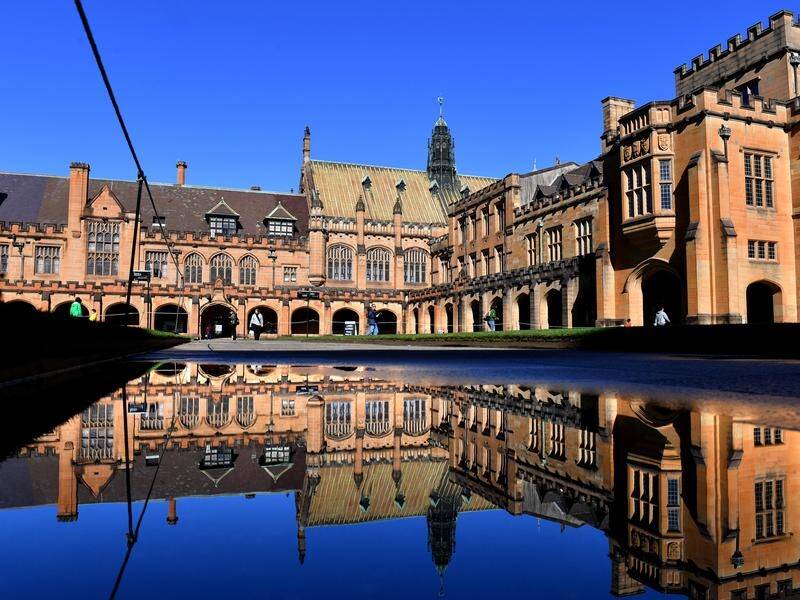 Universities Australia says the higher education sector will lose billions due to COVID-19.
