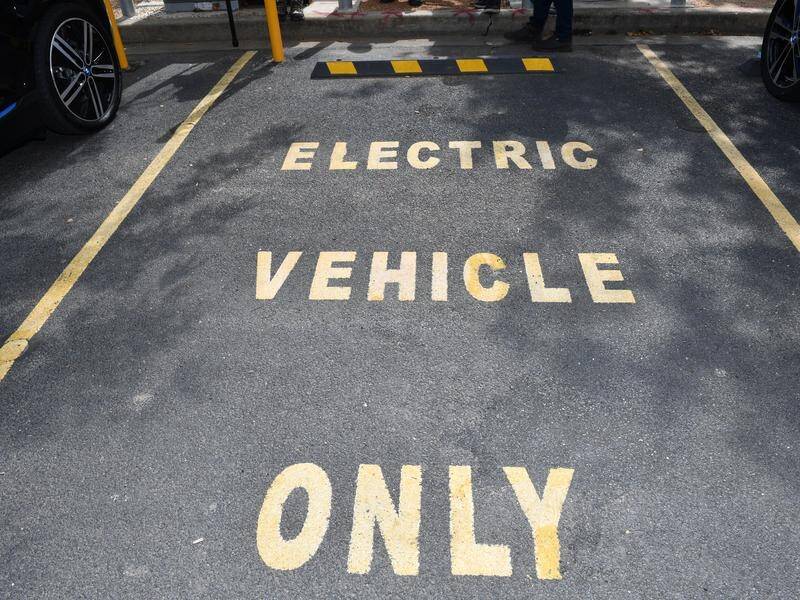 SA will delay by a year the introduction of a user-charge for people who drive electric vehicles.