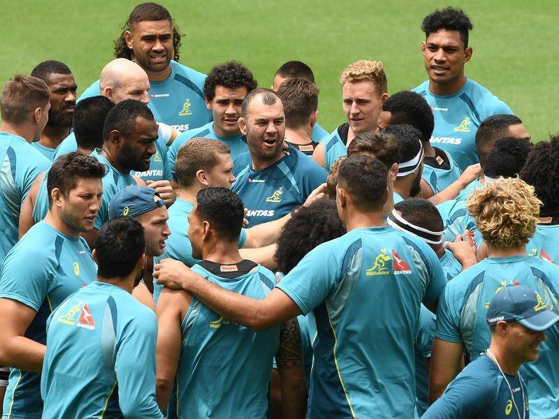 Wallabies players should be better prepared before going into camp with coach Michael Cheika.
