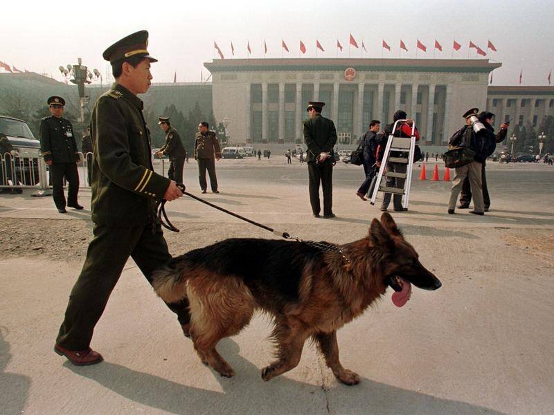 Chinese scientists say they have cloned a police dog to produce a Sherlock Holmes of dogs.