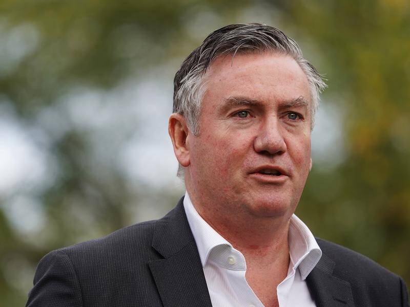 The running of the Melbourne Stars BBL side has transferred from Eddie McGuire to Cricket Victoria.